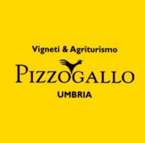0_logo_pizzo_gallo.jpg