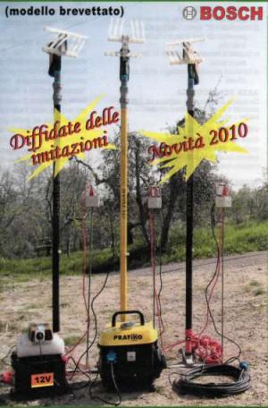olivar.jpg