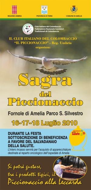 sagra_del_piccionaccio_2010.jpg
