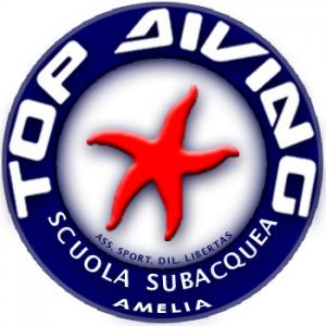 toppa_top_diving_amelia.jpg