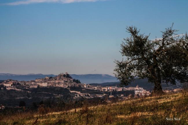 Amelia e Vista da Sud - Punto di scatto  Convento Annunziata