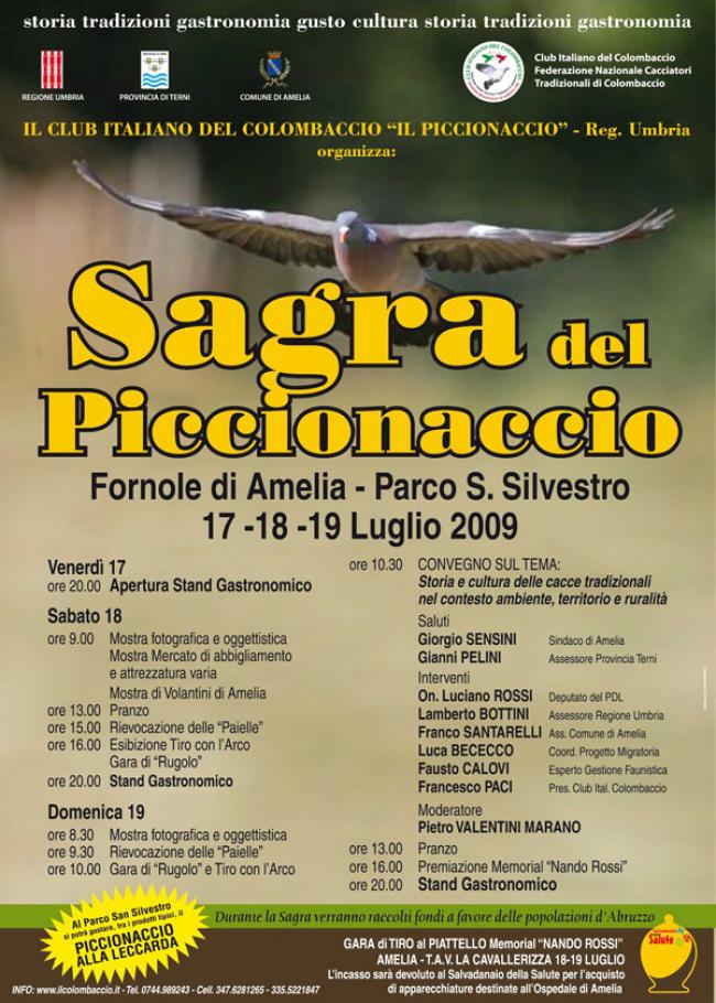 mf_piccionaccio.jpg
