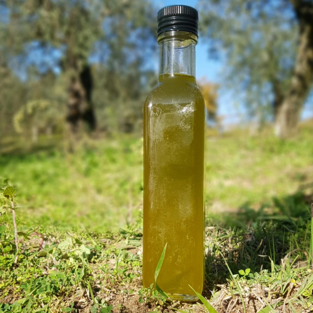 Olio extravergine di oliva