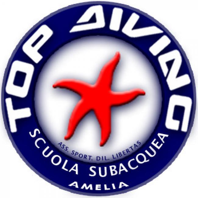 toppa_top_diving_amelia.jpg